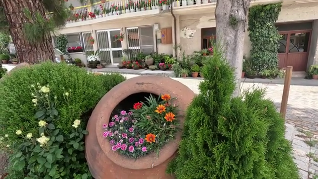 Agros Village, Beautiful Flowers in the Middle of the Street, Limassol, Cyprus