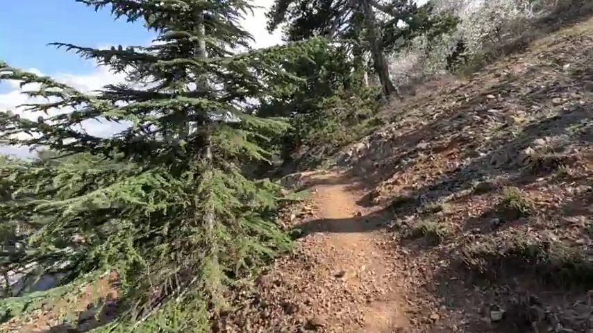 Atalanti Trail, Troodos Square, Cyprus