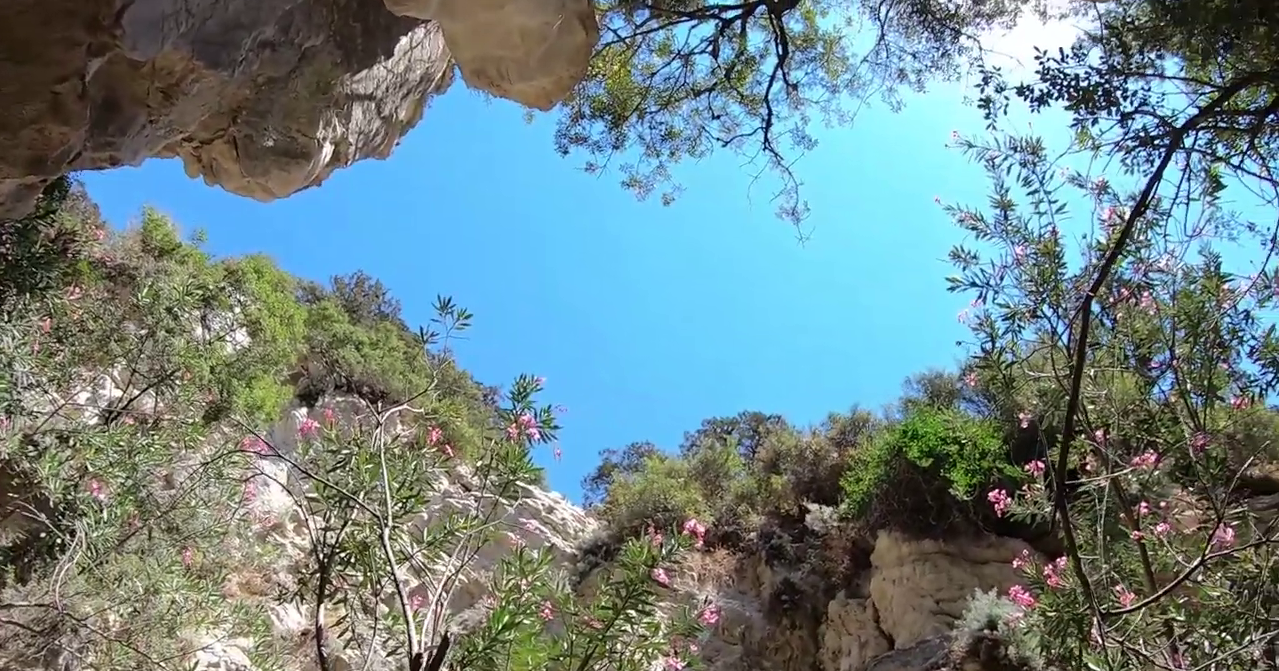 Avakas Gorge: Peyia, Paphos District, Cyprus