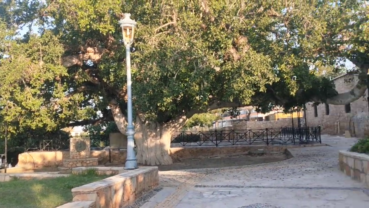 Ayia Napa Monastery (Cyprus)