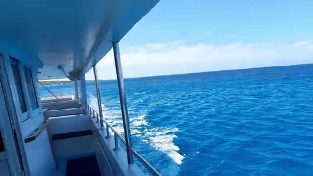 Boat Cruise to Akamas, Paphos, Cyprus: A Wonderful Experience!