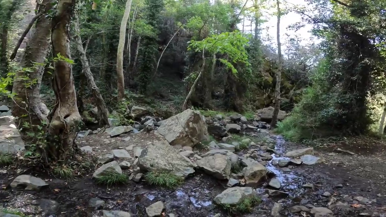 Caledonia Waterfall Trail