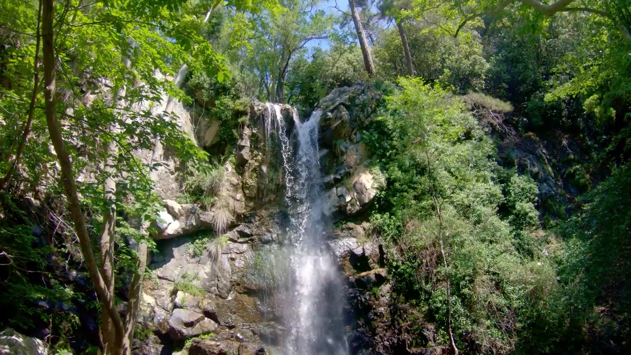 Caledonia Falls, Platres Caledonia Falls, Platres