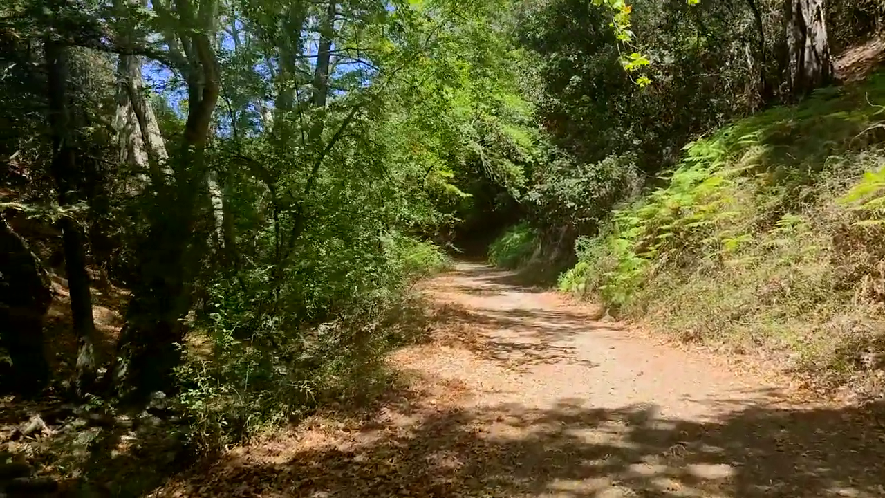 Cedar Valley
