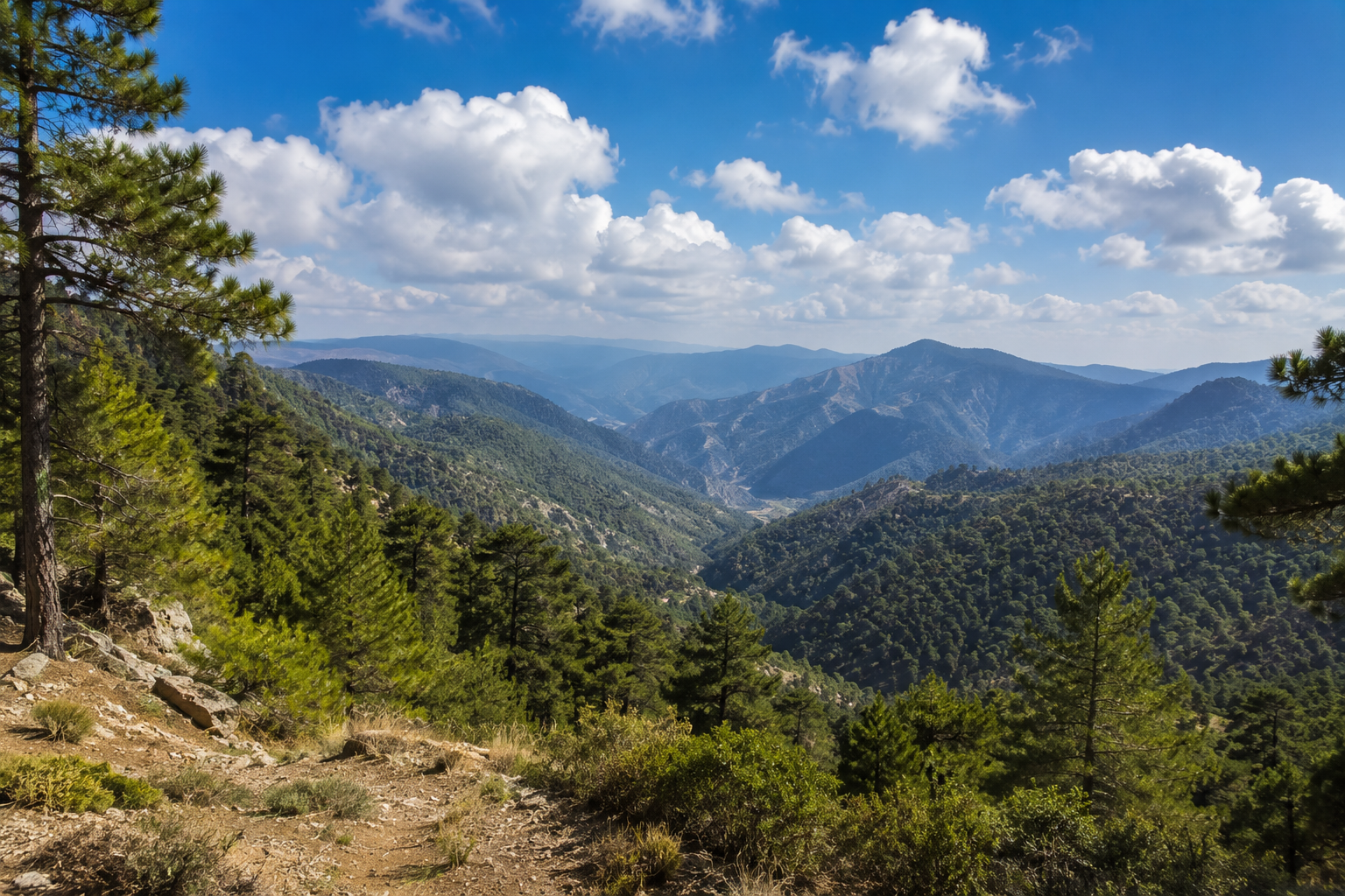 Cyprus for Nature Lovers Cyprus for Nature Lovers