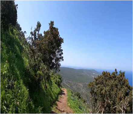 Things to Do in Cyprus: Hiking in Akamas 