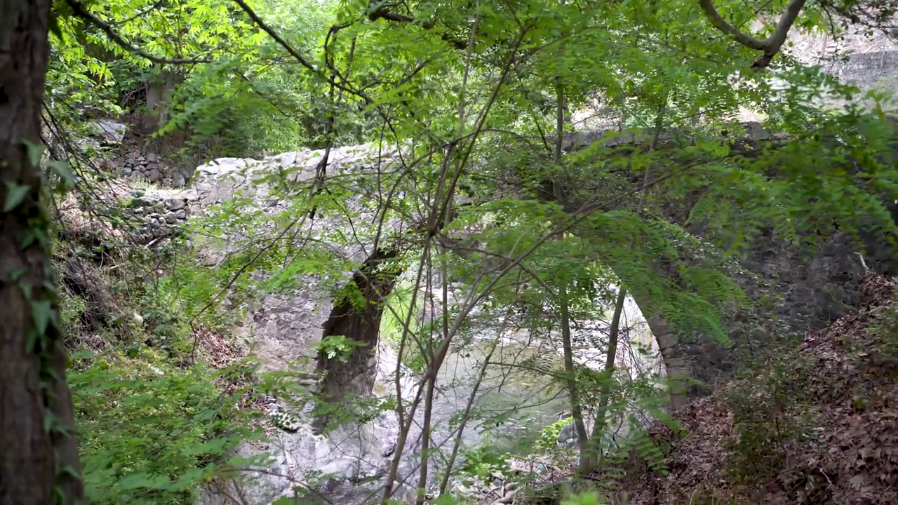 Kalopanayiotis: The Venetian Bridge