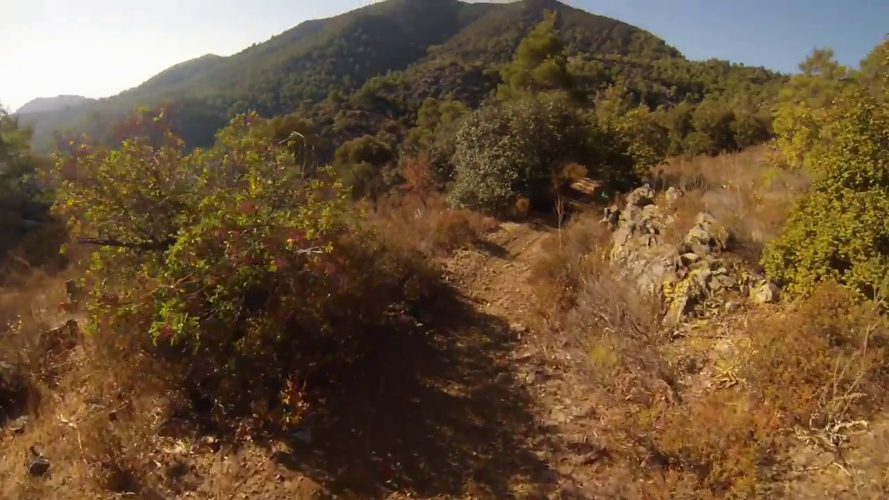 Kionia-Profitis Ilias Trail, Machairas Forest