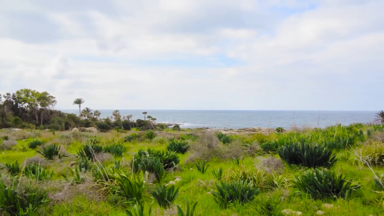 Landscape in the Tombs of the Kings, Paphos, Cyprus