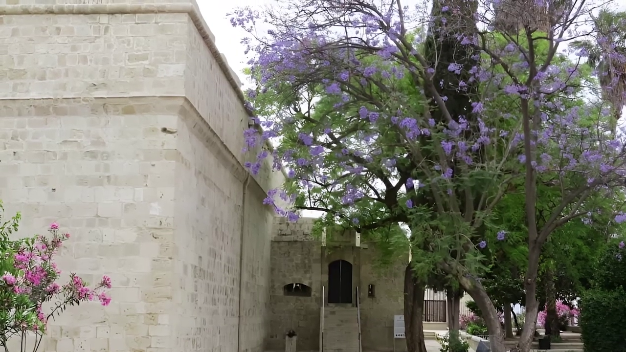 The Entrance of Limassol Castle