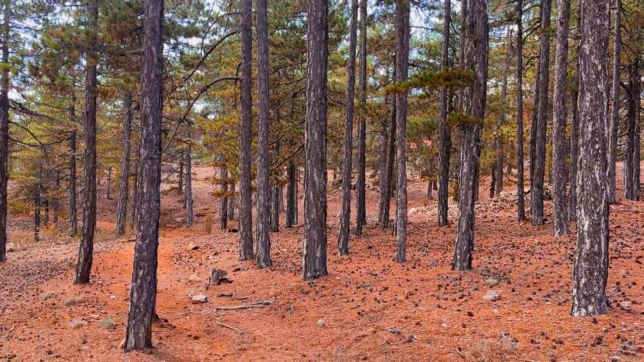 Livadi Trail, Cyprus