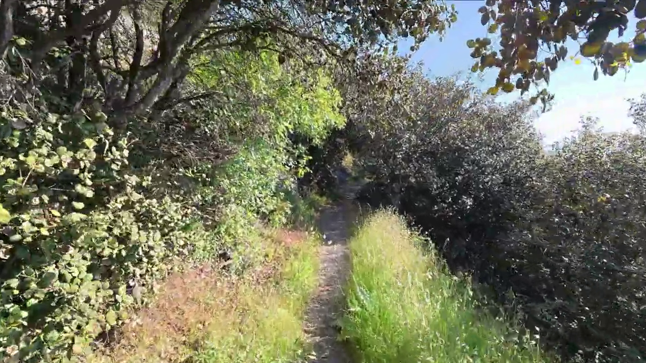 Madari Trail