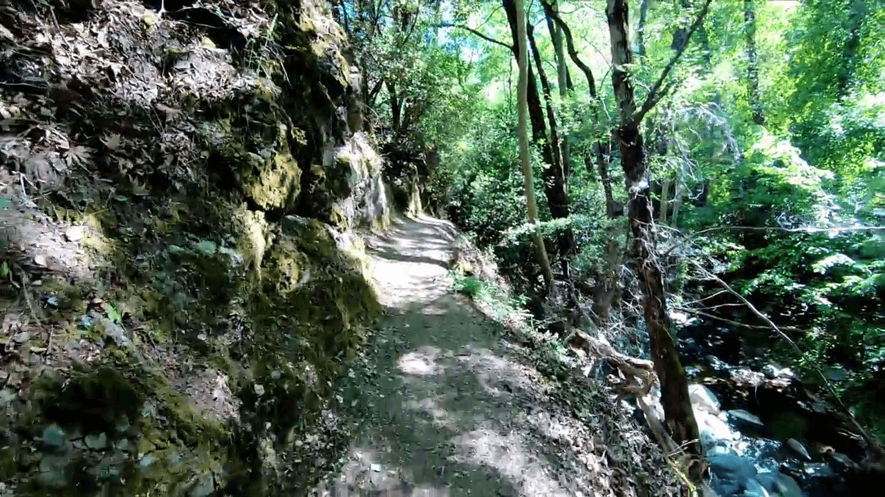 Millomeris Trail
