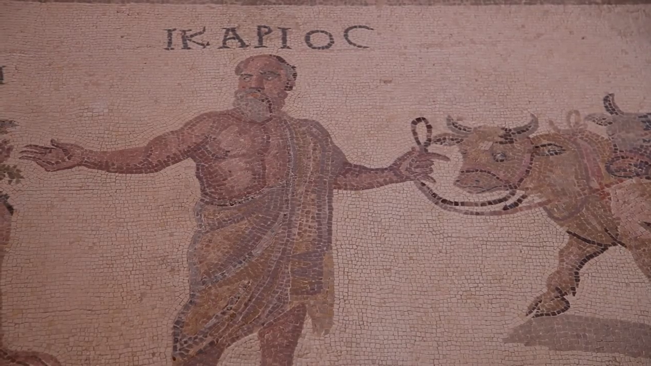 Paphos Mosaics