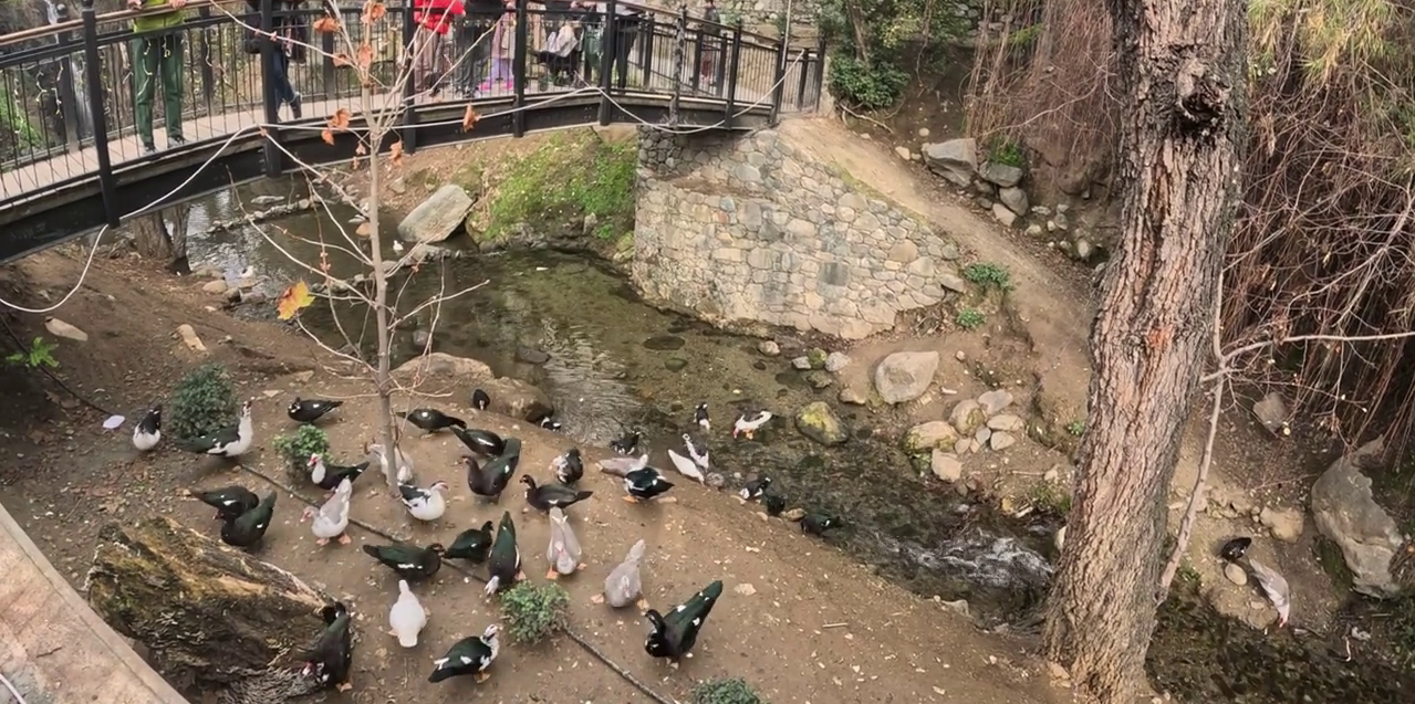 Beautiful Nature Trails: Kakopetria, Cyprus