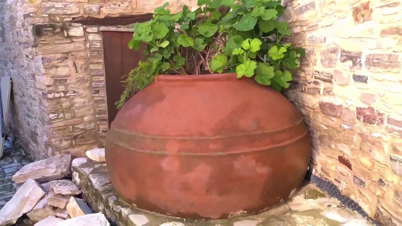 Pano Lefkara, Cyprus: Beautiful Plants