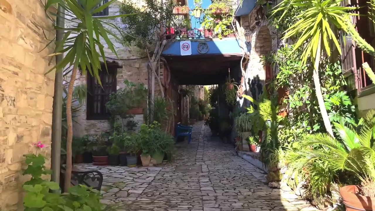 Pano Lefkara, Cyprus: This Alley is Full of Beautiful Plants