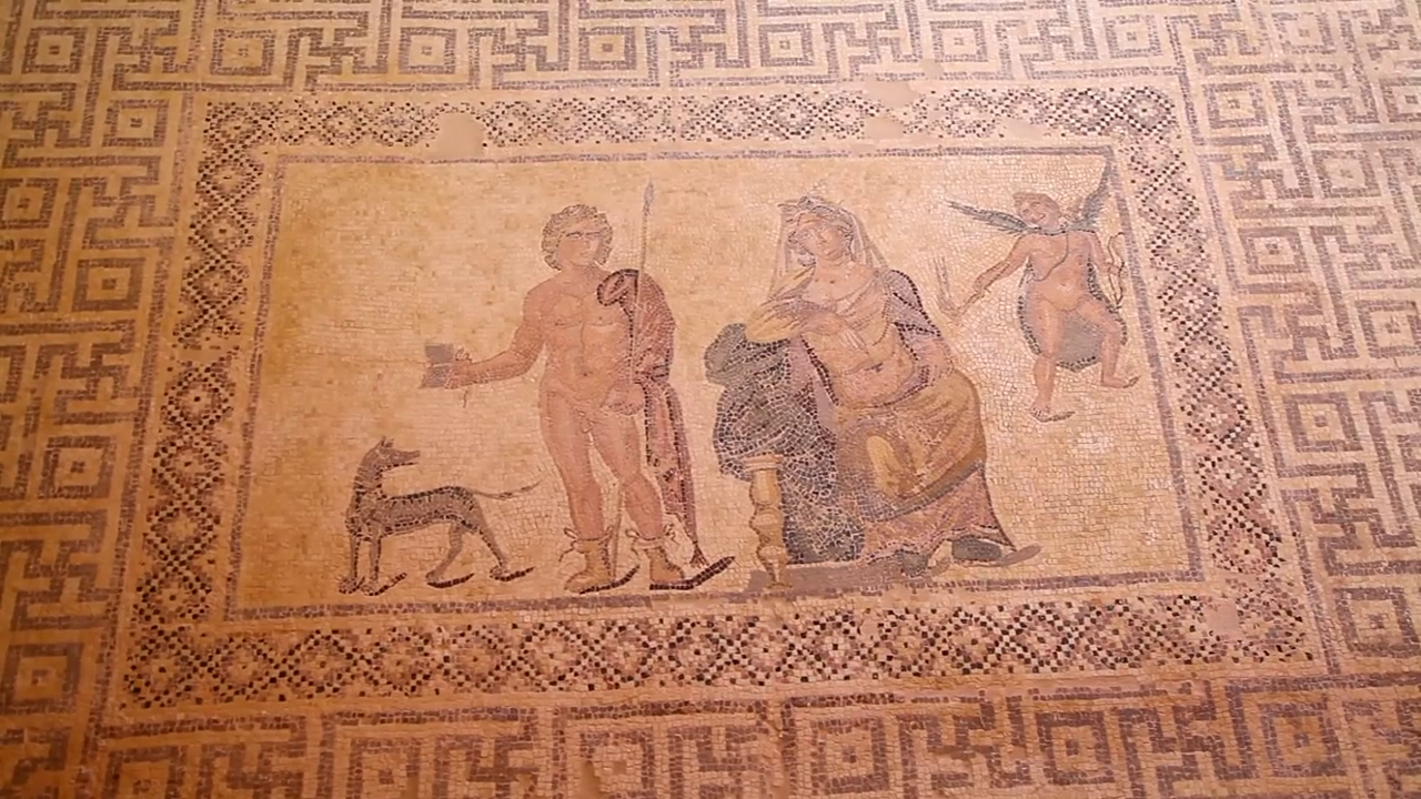 Paphos Mosaics