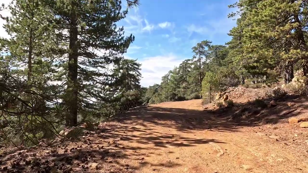 Persephone Trail, Troodos, Cyprus