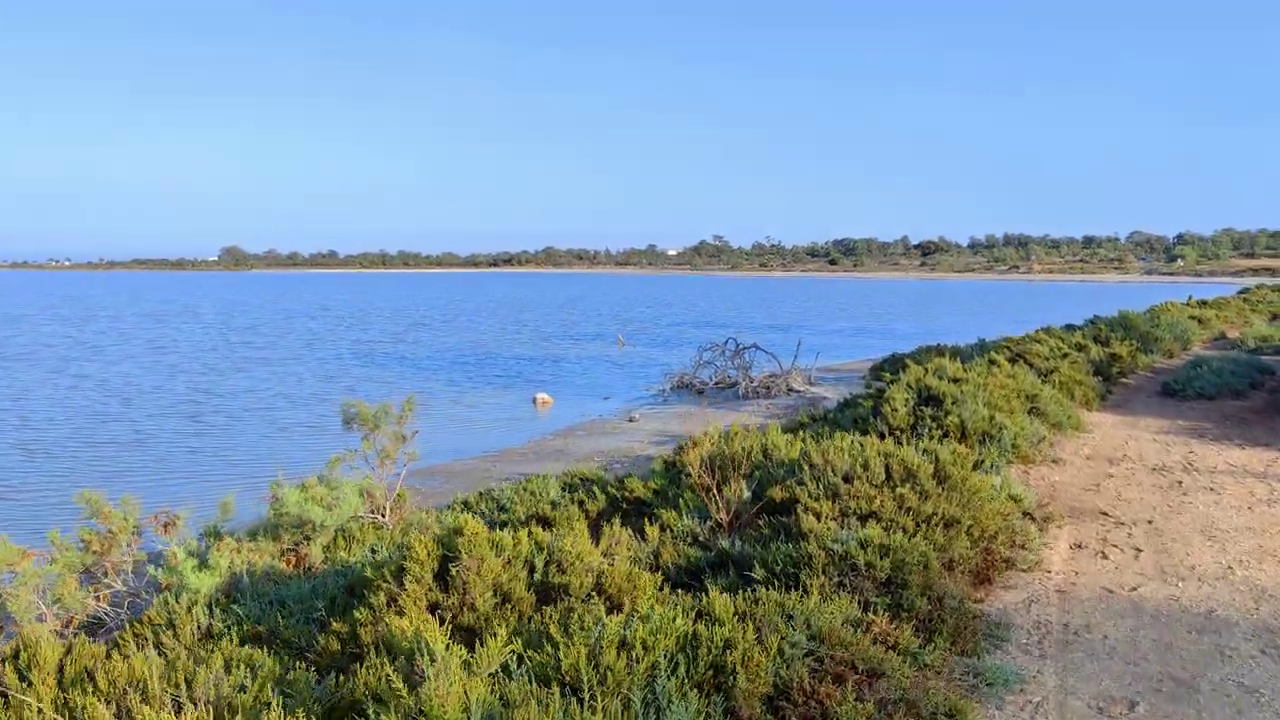 Salt Lake, Larnaca