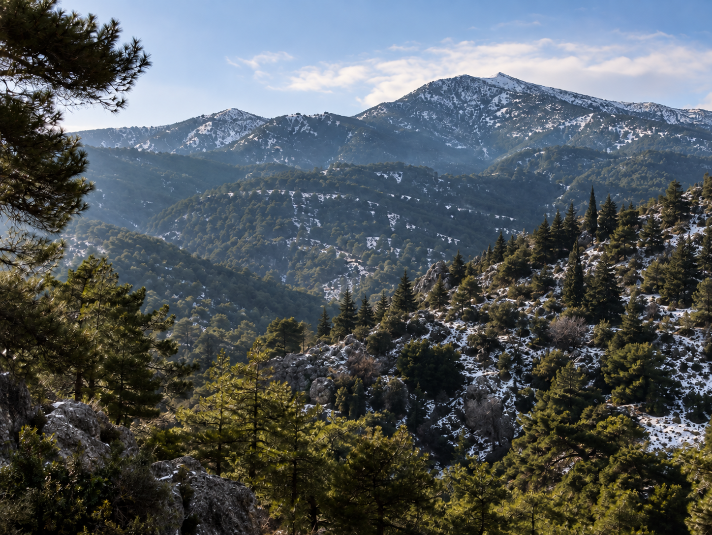 The Troodos Mountains in February The Troodos Mountains in February