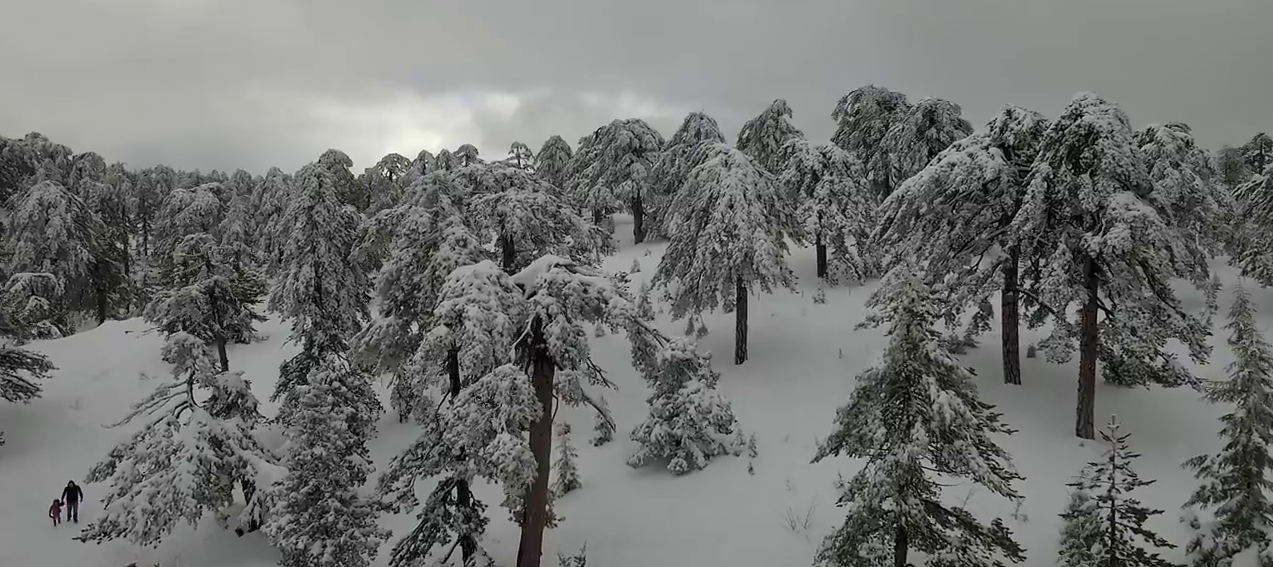 Troodos Mountains "Dressed in White", Limassol, Cyprus