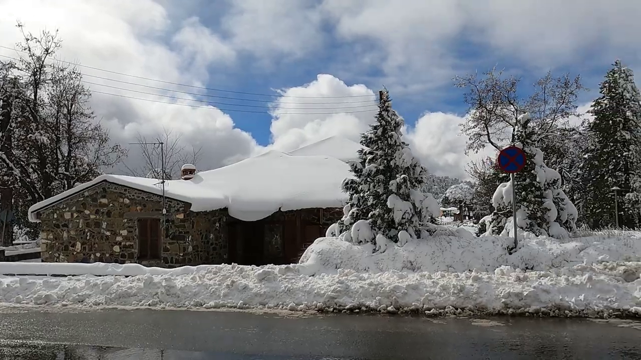 Troodos Mountains in Winter