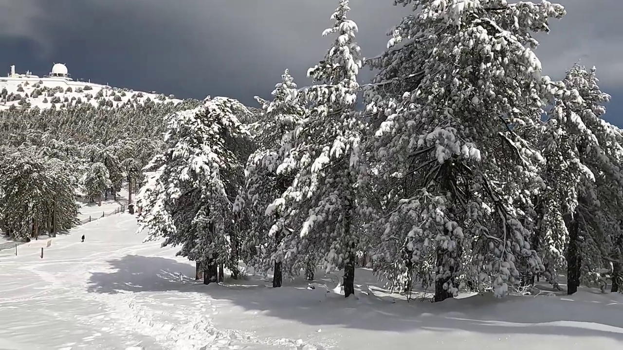 Troodos Mountains in Winter