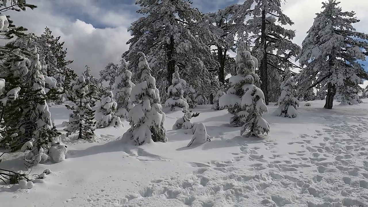 Troodos Mountains in Winter