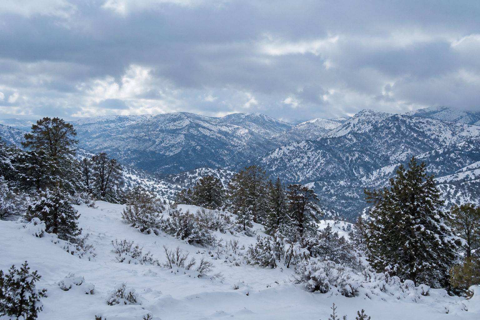 Winter in Cyprus Winter in Cyprus