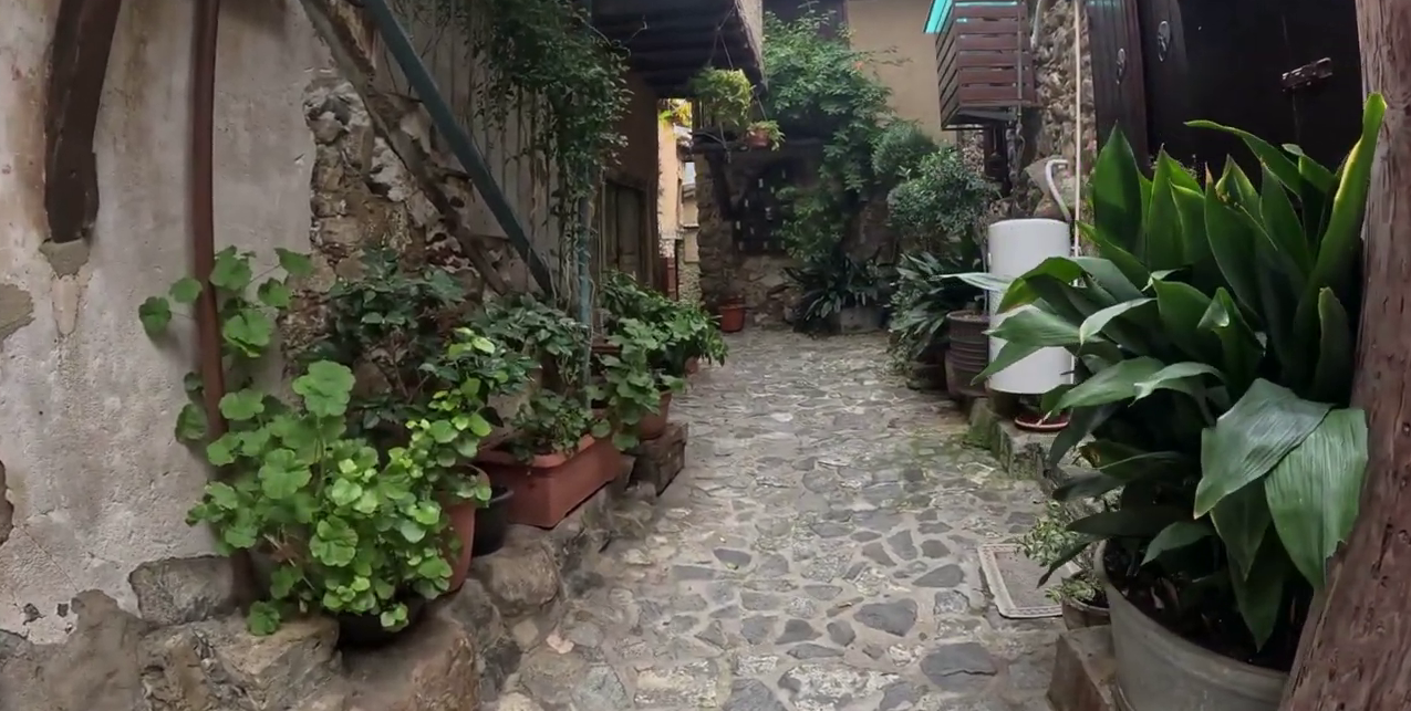 Wonderful Flowers in Every Corner of Palia Kakopetria, Cyprus