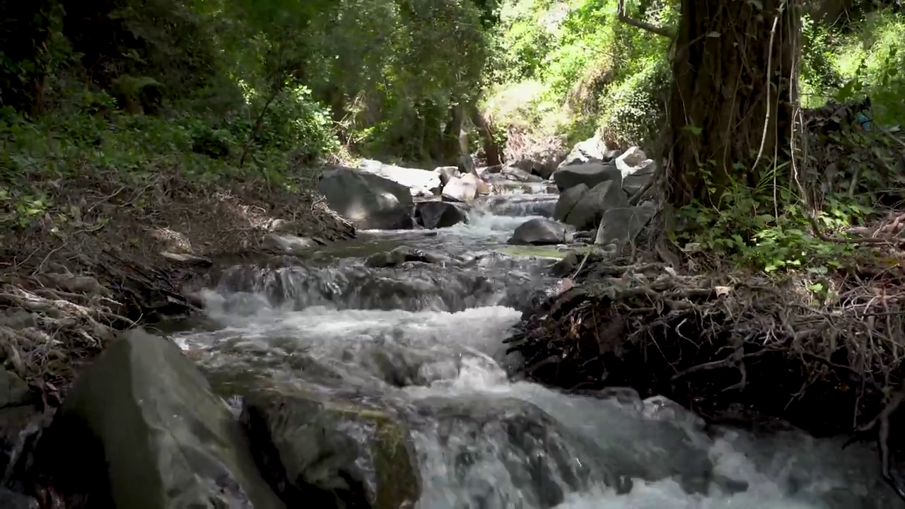 Wonderful Nature in Kalopanayiotis, Cyprus